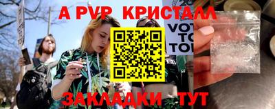 сатива Кунгур