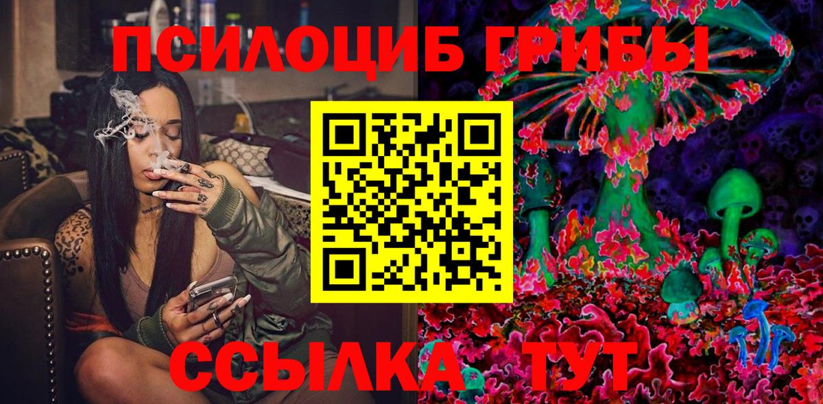 Кирово-Чепецк  Галлюциногенные грибы Cubensis  Псилоцибиновые грибы MAGIC MUSHROOMS  Вход с VPN 